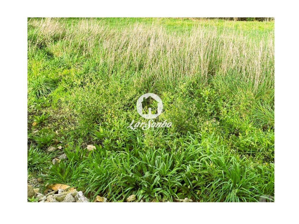 Terrenos Barcelos - Fotos para Terreno para construção a 10 minutos do Centro de Barcelos