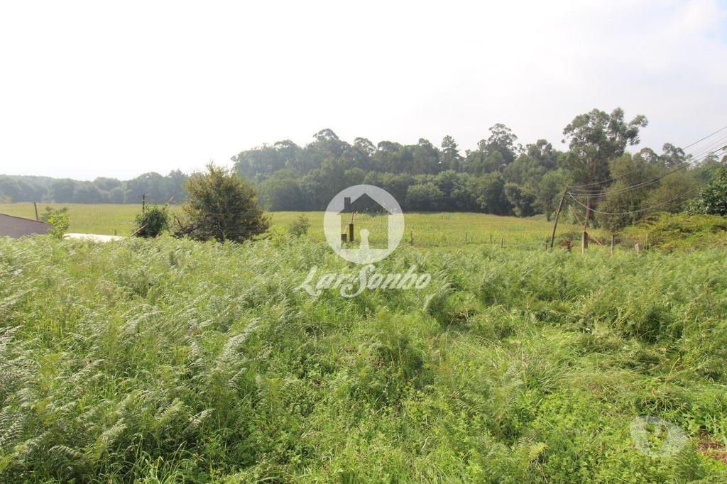 Terrenos Esposende - Fotos para Esposende-Terreno para construção em Esposende (265-T-01030)