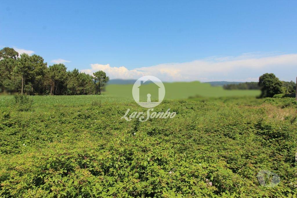 Terrenos Esposende - Fotos para Esposende-Terreno para construção em Esposende (265-T-01030)