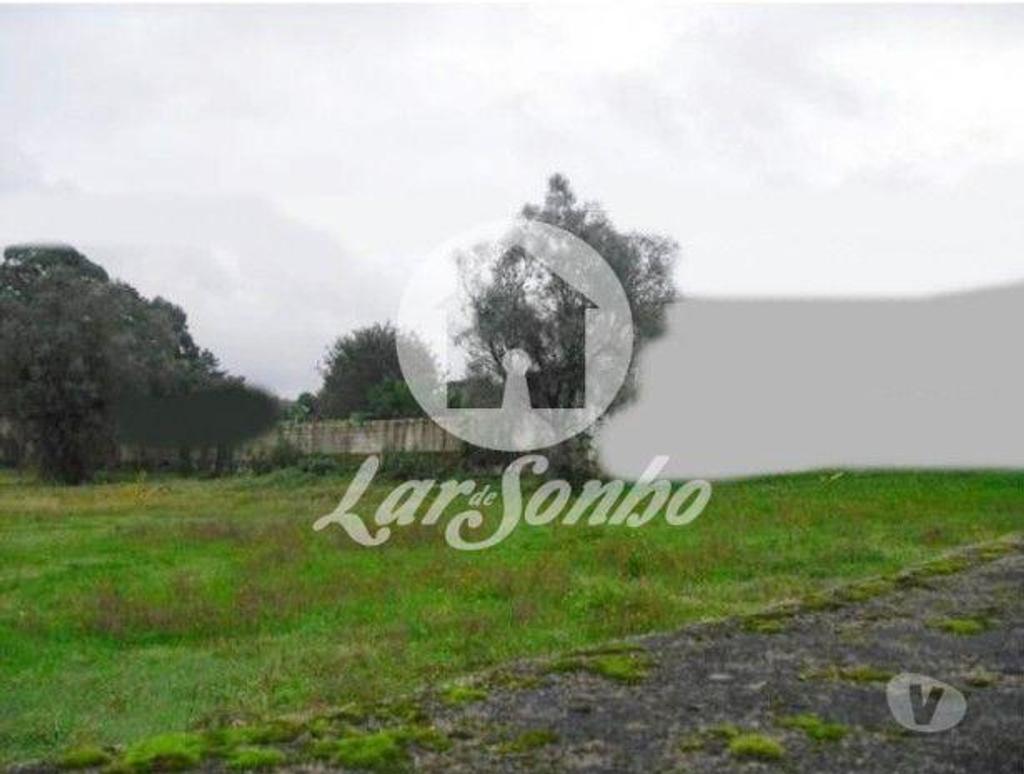 Terrenos Esposende - Fotos para Esposende-Terreno para construção em Esposende (265-T-01030)