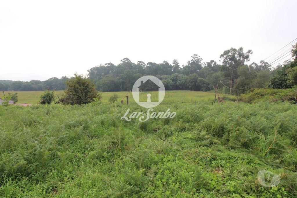 Terrenos Esposende - Fotos para Esposende-Terreno para construção em Esposende (265-T-01030)