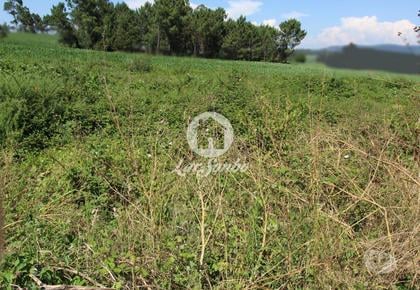 Terrenos - Fotos para Esposende-Terreno para construção em Esposende (265-T-01030)
