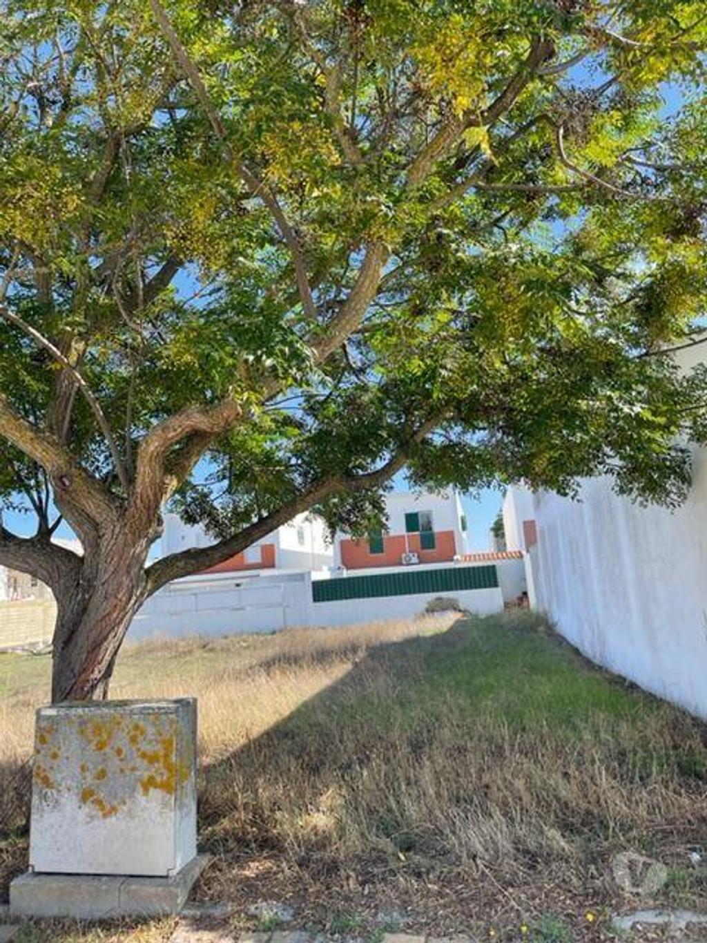 Comprar Loja Moita - Fotos para Terreno Urbano para construção Moita Alhos Vedros