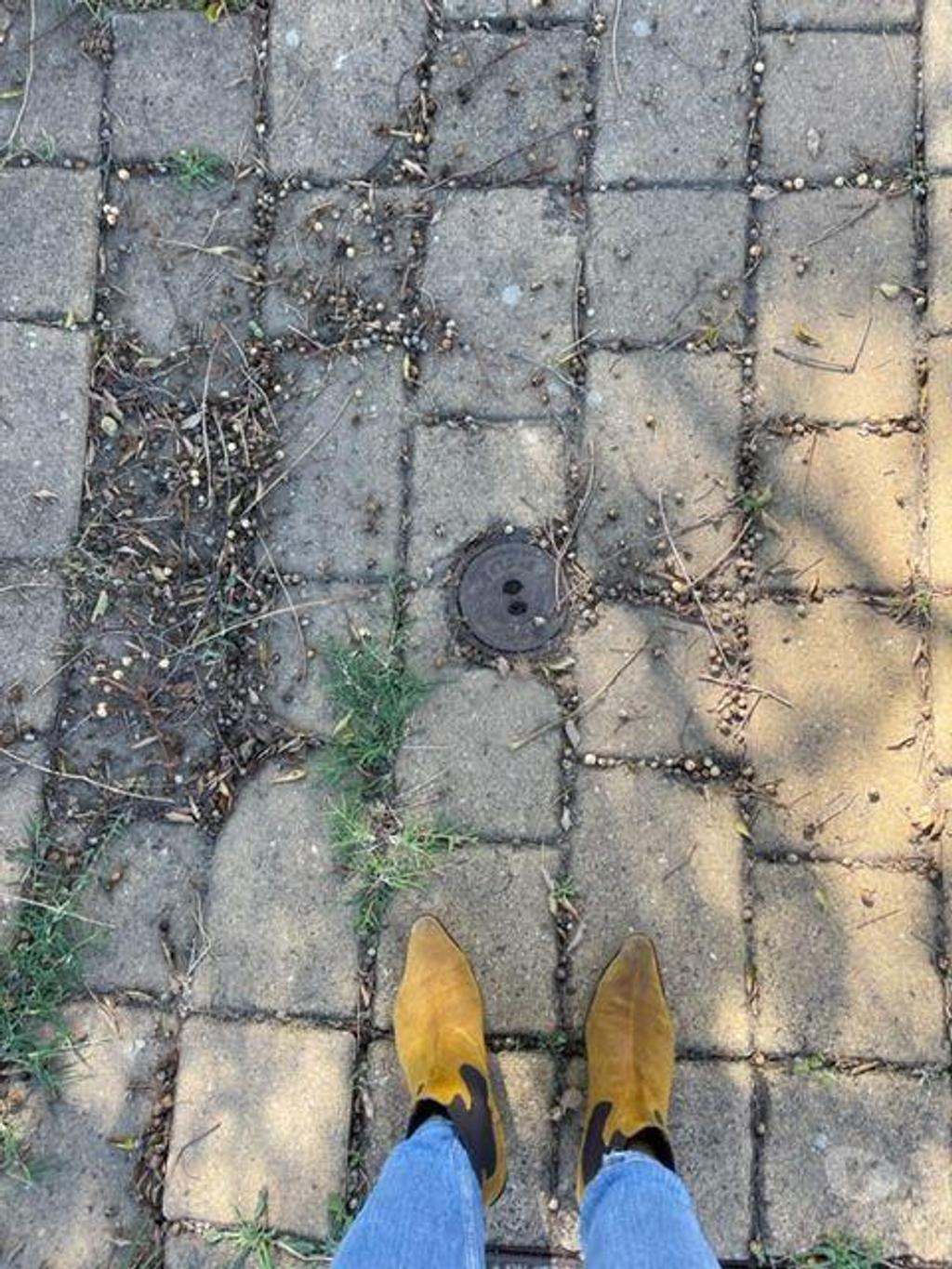 Comprar Loja Moita - Fotos para Terreno Urbano Moita Alhos Vedros