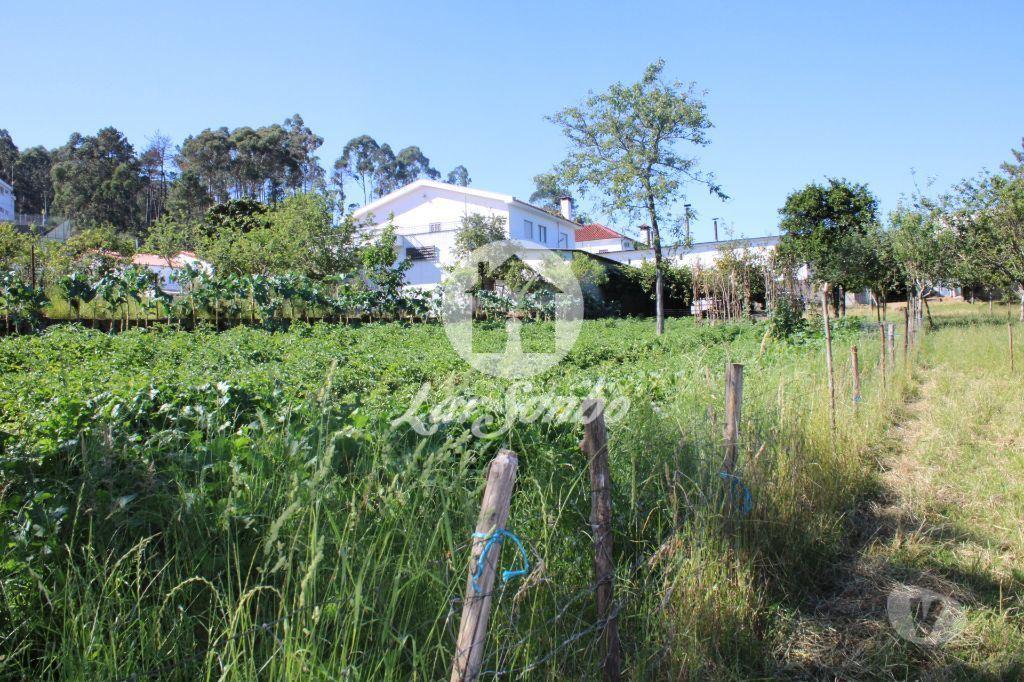 Terrenos Barcelos - Fotos para Barcelos-Quintinha com 10 mil metros de terreno (265-Q-01031)