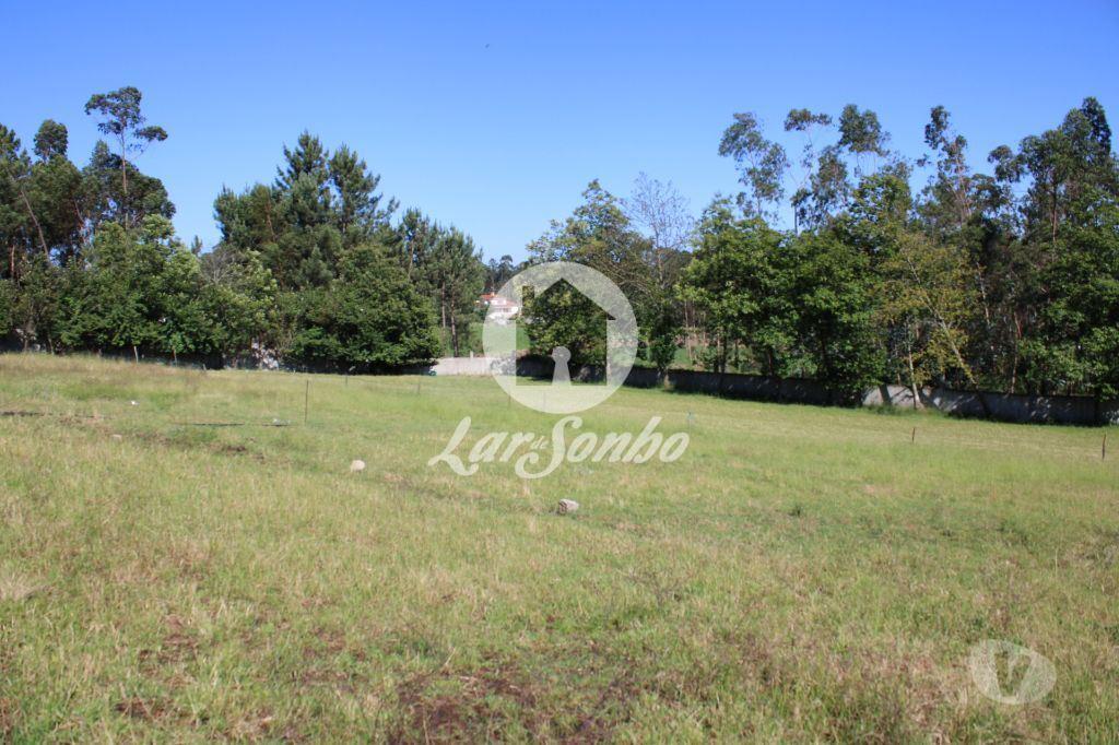 Terrenos Barcelos - Fotos para Barcelos-Quintinha com 10 mil metros de terreno (265-Q-01031)