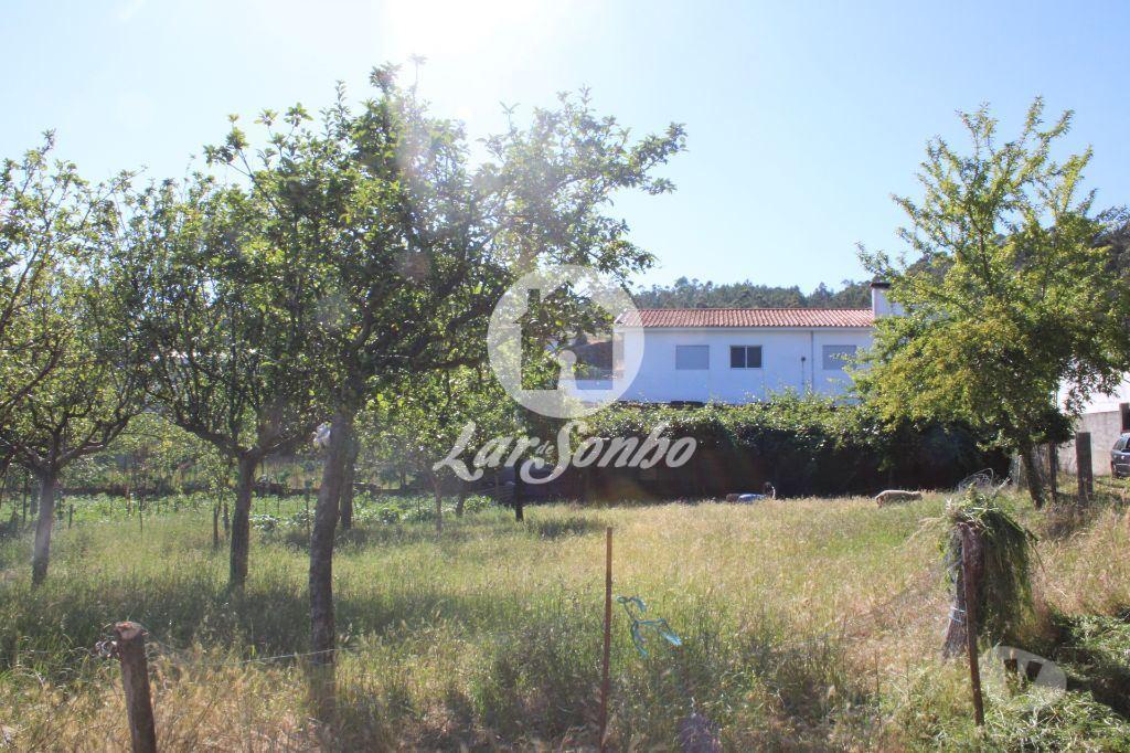 Terrenos Barcelos - Fotos para Barcelos-Quintinha com 10 mil metros de terreno (265-Q-01031)