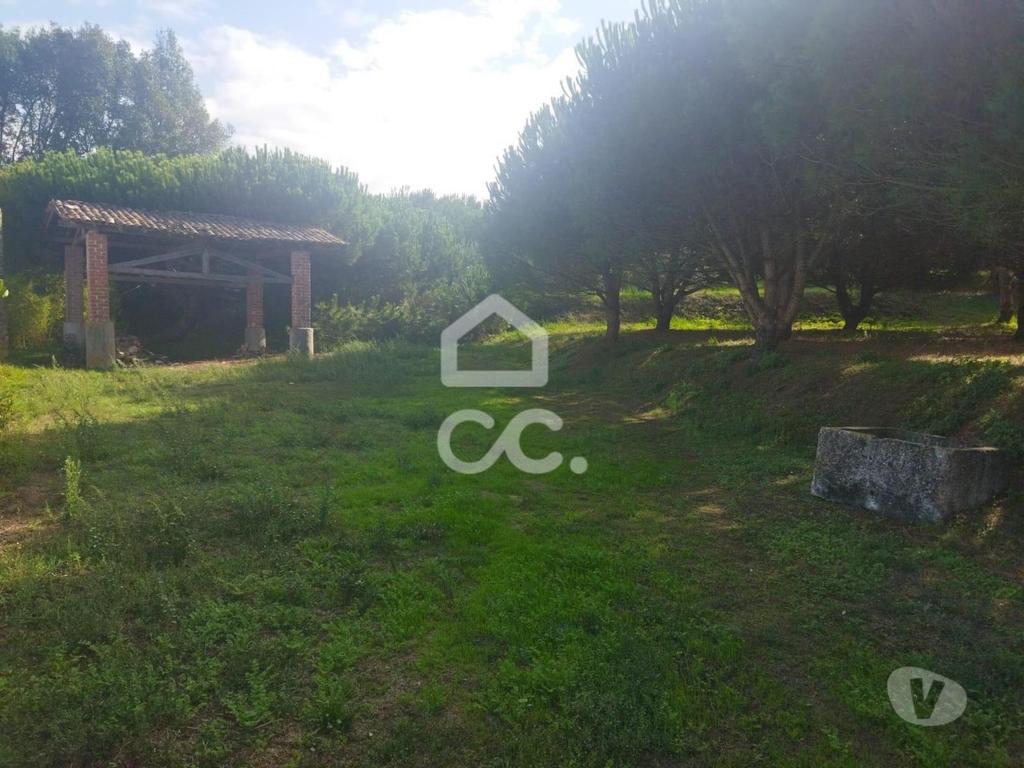 Terrenos Leiria - Fotos para LOCALIZAÇÃO: MONTE REAL-----Terreno com a área de 4.550 m2 com