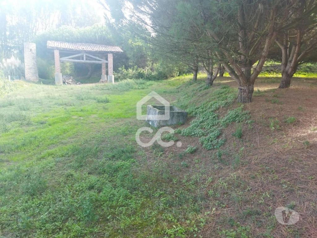 Terrenos Leiria - Fotos para LOCALIZAÇÃO: MONTE REAL-----Terreno com a área de 4.550 m2 com