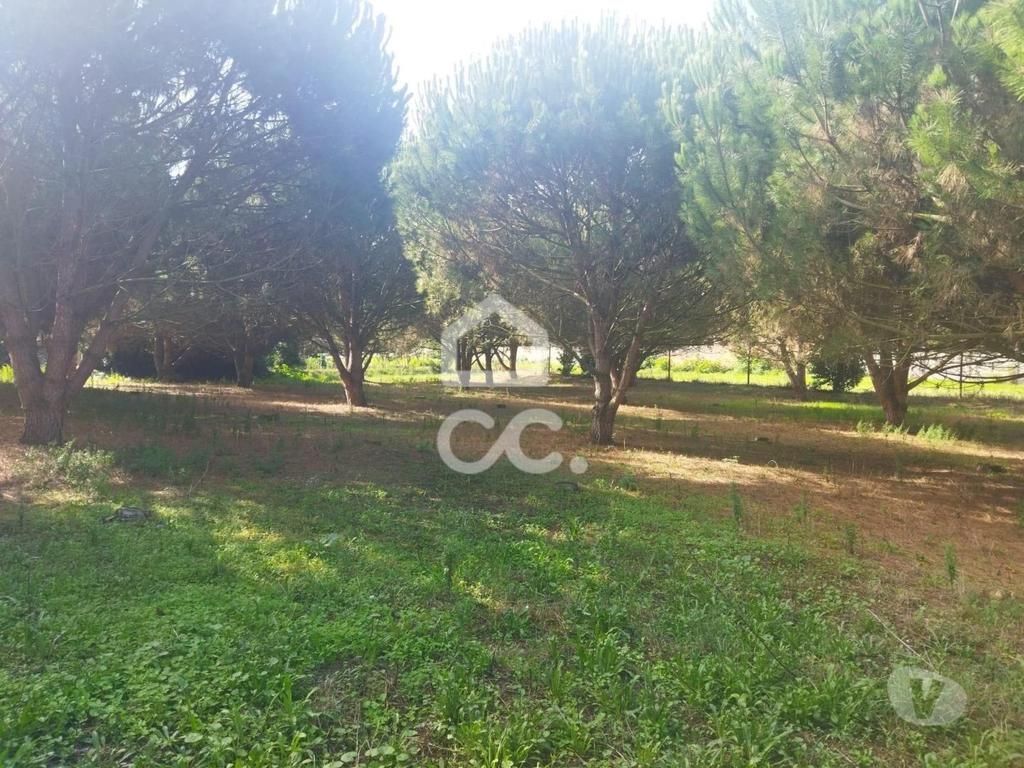 Terrenos Leiria - Fotos para LOCALIZAÇÃO: MONTE REAL-----Terreno com a área de 4.550 m2 com
