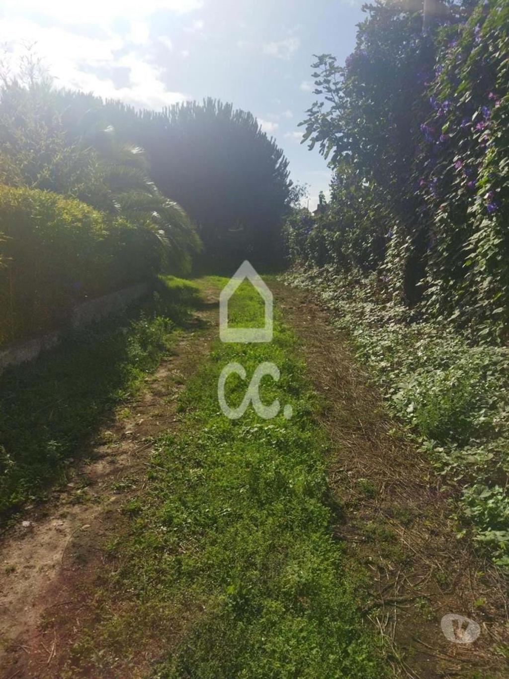 Terrenos Leiria - Fotos para LOCALIZAÇÃO: MONTE REAL-----Terreno com a área de 4.550 m2 com