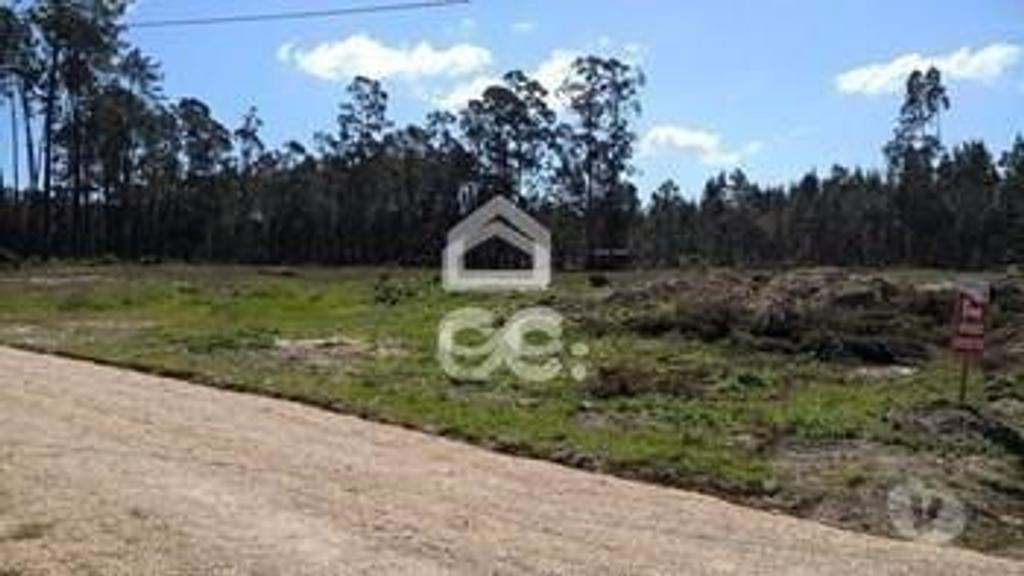 Terrenos Marinha Grande - Fotos para Terreno p const. altura - Terreno com 11.900m2 para construção
