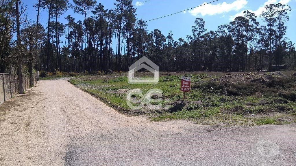 Terrenos Marinha Grande - Fotos para Terreno p const. altura - Terreno com 11.900m2 para construção