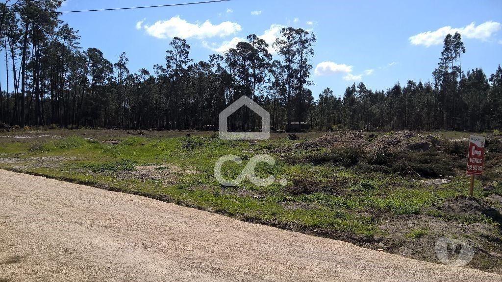 Terrenos Marinha Grande - Fotos para Terreno p const. altura - Terreno com 11.900m2 para construção