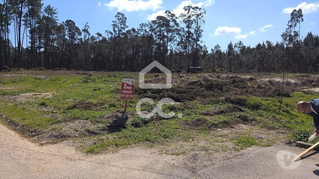 Terrenos Marinha Grande - Fotos para Terreno p const. altura - Terreno com 11.900m2 para construção