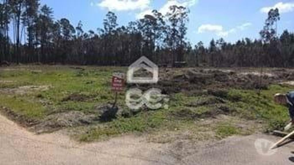Terrenos Marinha Grande - Fotos para Terreno p const. altura - Terreno com 11.900m2 para construção