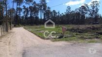 Terreno p const. altura - Terreno com 11.900m2 para construção
