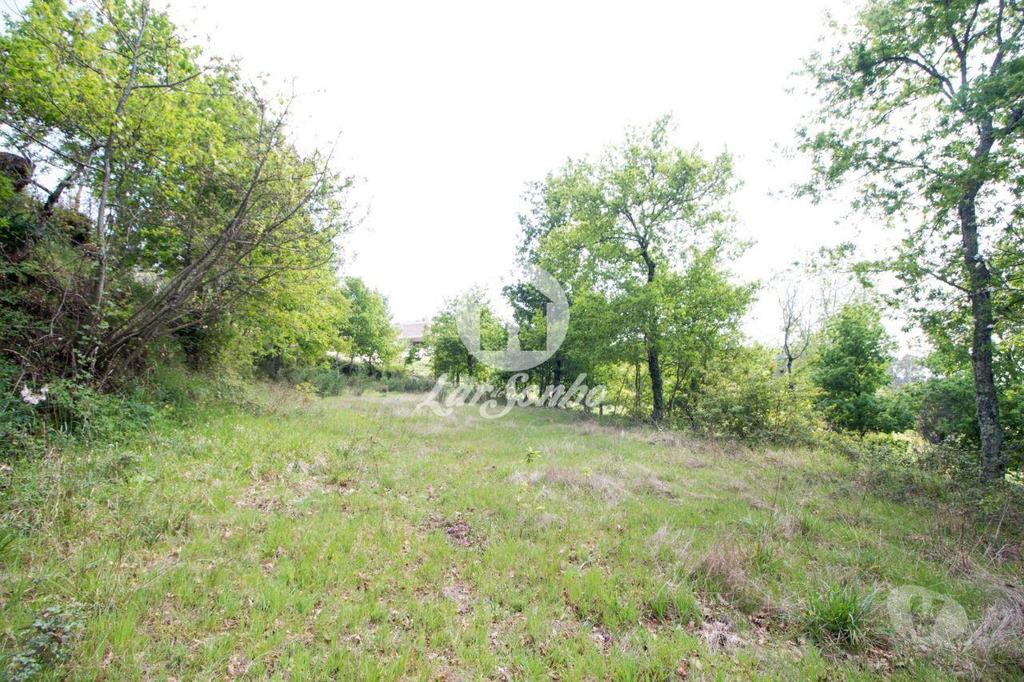 Terrenos Fafe - Fotos para Fafe-Terreno com 2.730m2 para construção de moradia (256-T-00484)