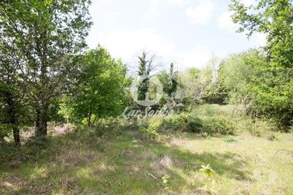 Terrenos e Quintas - Fotos para Fafe-Terreno com 2.730m2 para construção de moradia (256-T-00484)