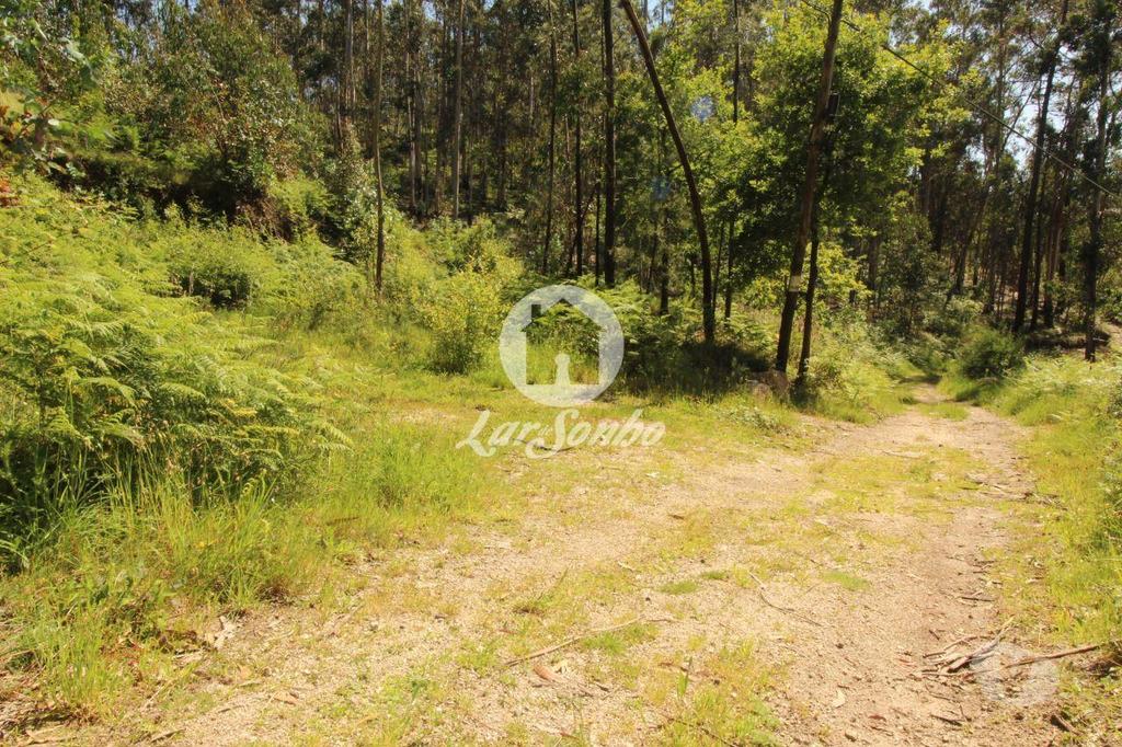 Terrenos Fafe - Fotos para Fafe-Terreno Rústico com 5.000m2 (256-T-00456)