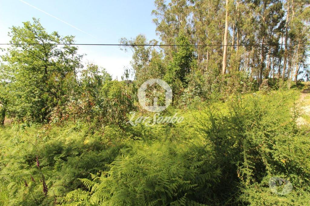 Terrenos Fafe - Fotos para Fafe-Terreno Rústico com 5.000m2 (256-T-00456)