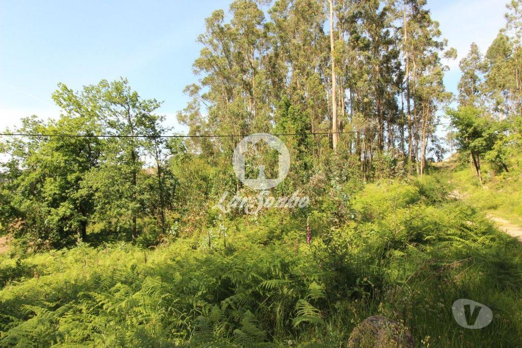 Terrenos Fafe - Fotos para Fafe-Terreno Rústico com 5.000m2 (256-T-00456)