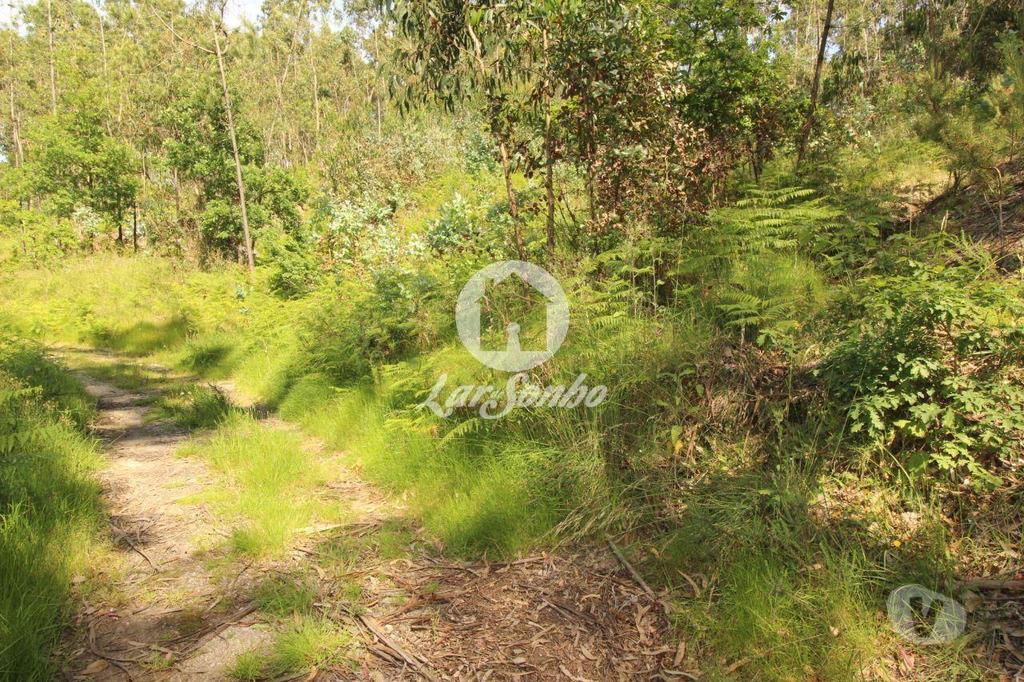 Terrenos Fafe - Fotos para Fafe-Terreno Rústico com 5.000m2 (256-T-00456)