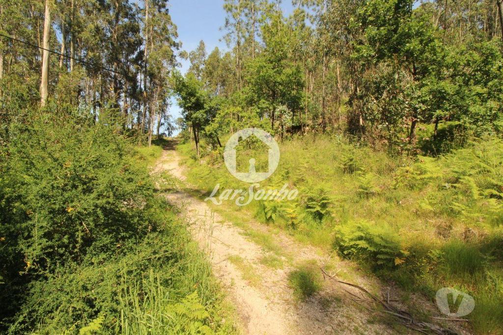 Terrenos Fafe - Fotos para Fafe-Terreno Rústico com 5.000m2 (256-T-00456)