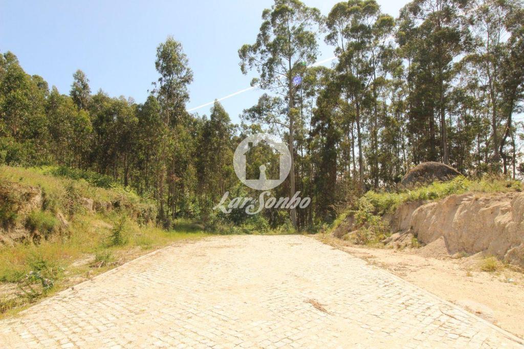 Terrenos Fafe - Fotos para Fafe-Terreno Rústico com 5.000m2 (256-T-00456)