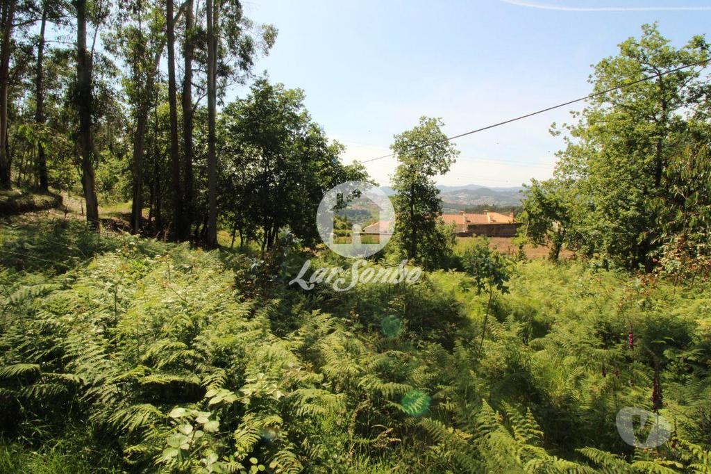 Terrenos Fafe - Fotos para Fafe-Terreno Rústico com 5.000m2 (256-T-00456)