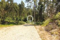 Fafe-Terreno Rústico com 5.000m2 (256-T-00456)