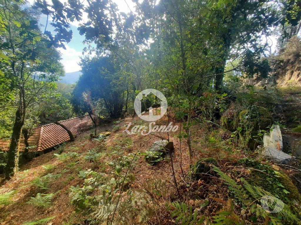 Apartamentos a venda Fafe - Fotos para Moradia em Pedra para Restaurar em Moreira do Rei, Fafe
