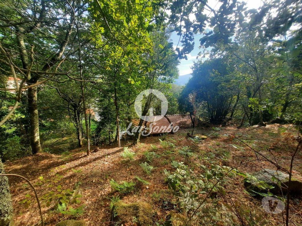 Apartamentos a venda Fafe - Fotos para Moradia em Pedra para Restaurar em Moreira do Rei, Fafe