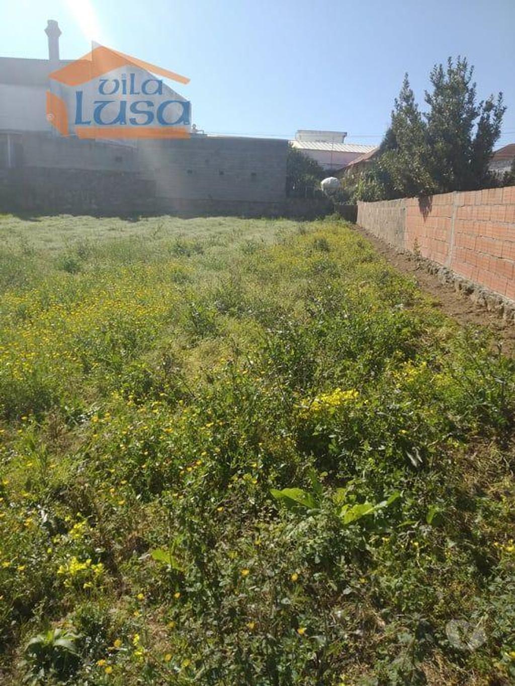 Terrenos Esposende - Fotos para Esposende-Terreno em Antas (800225004)