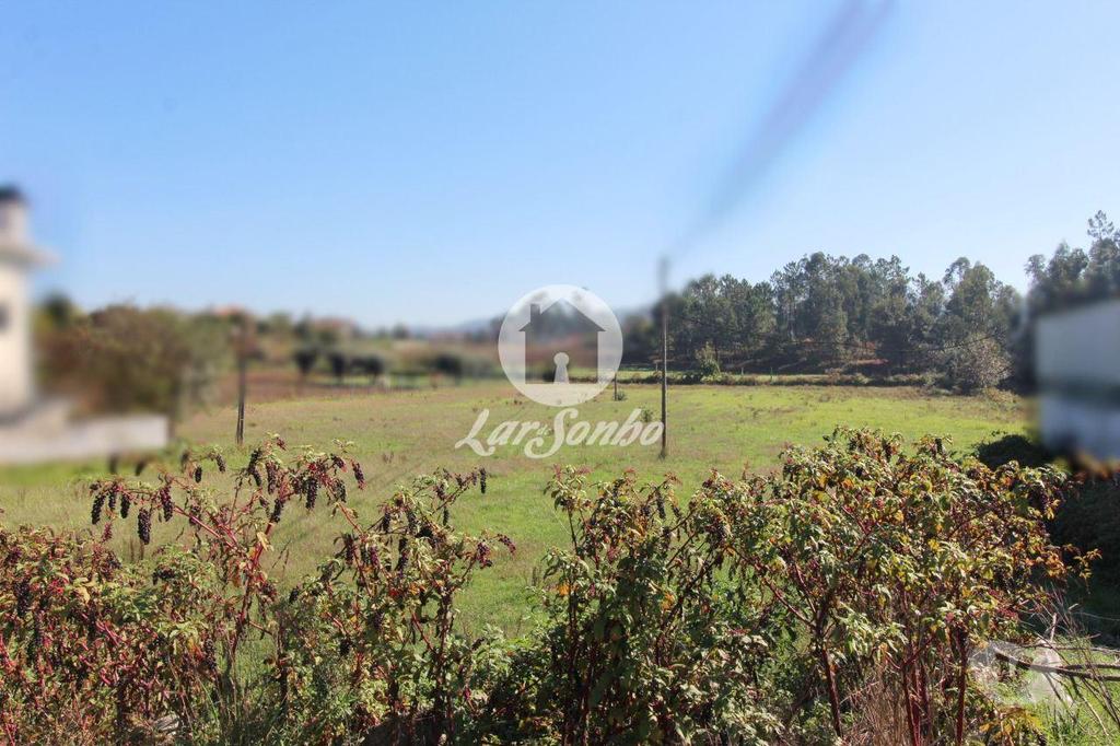 Terrenos Barcelos - Fotos para Barcelos-Terreno plano com 6500m2 (265-T-01033)