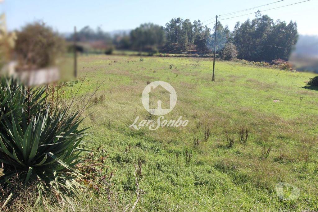 Terrenos Barcelos - Fotos para Barcelos-Terreno plano com 6500m2 (265-T-01033)