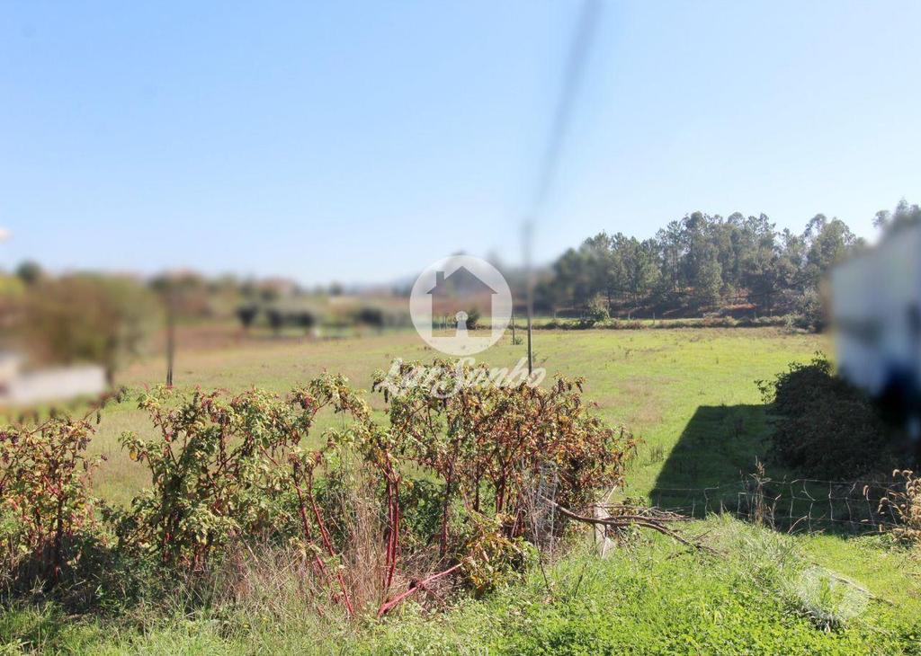 Terrenos Barcelos - Fotos para Barcelos-Terreno plano com 6500m2 (265-T-01033)