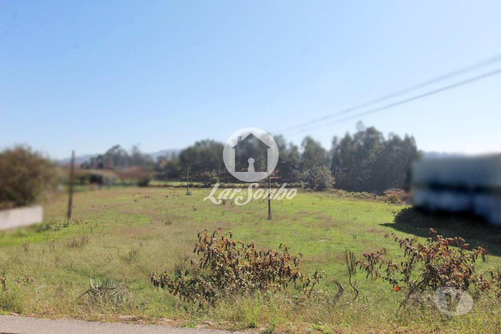 Terrenos Barcelos - Fotos para Barcelos-Terreno plano com 6500m2 (265-T-01033)