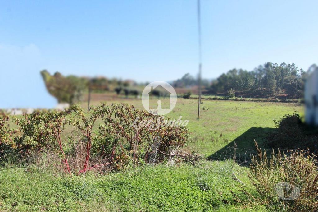 Terrenos Barcelos - Fotos para Barcelos-Terreno plano com 6500m2 (265-T-01033)