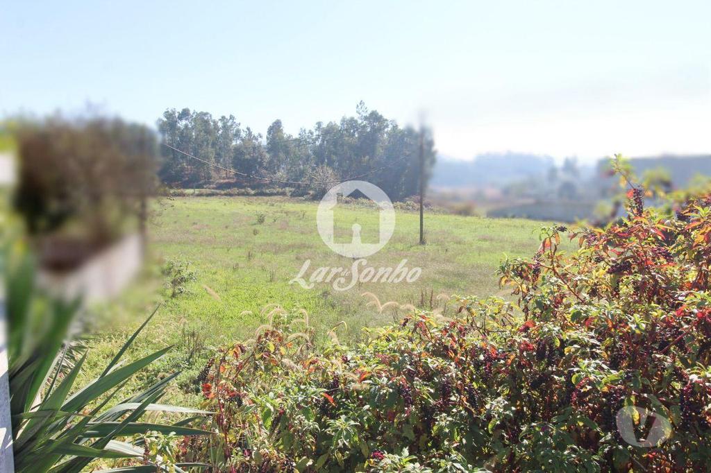 Terrenos Barcelos - Fotos para Barcelos-Terreno plano com 6500m2 (265-T-01033)