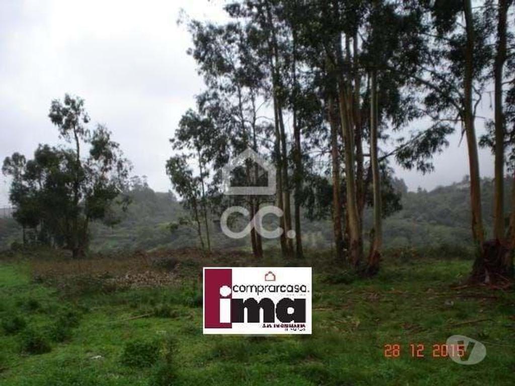 Terrenos Batalha - Fotos para Terreno urbano para construção em Barrojeiras - Batalha