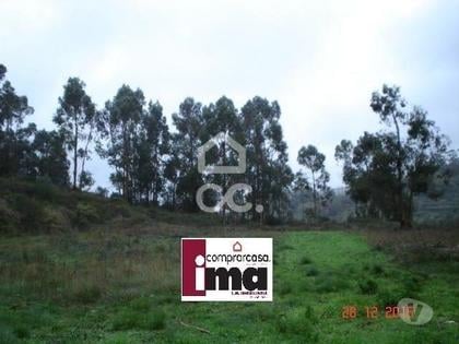 Terrenos - Fotos para Terreno urbano para construção em Barrojeiras - Batalha