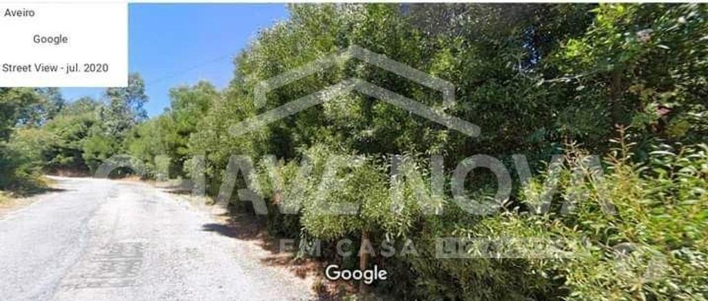 Terrenos Santa Maria da Feira - Fotos para Terreno para venda em São João de Ver. (MAD 01356)