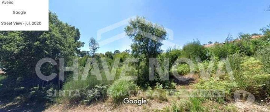 Terrenos Santa Maria da Feira - Fotos para Terreno para venda em São João de Ver. (MAD 01356)