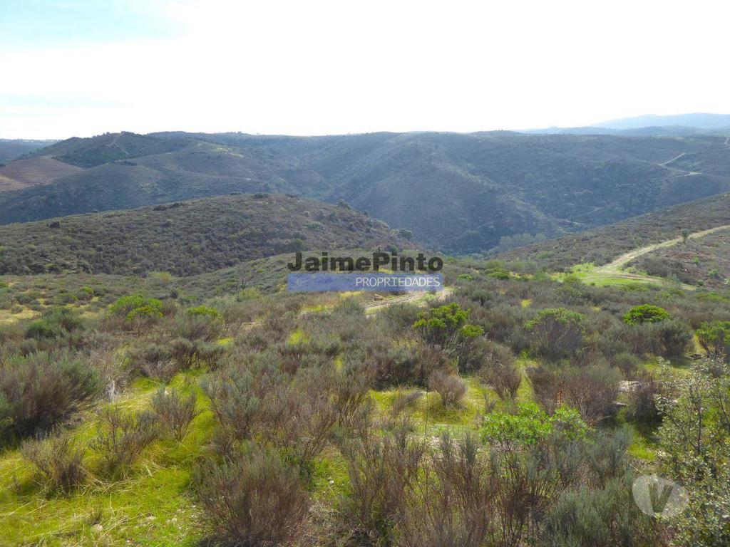 Terrenos Alfândega da Fé - Fotos para Propriedade montanhosa 11ha para plantações agrícolas. Bragança,
