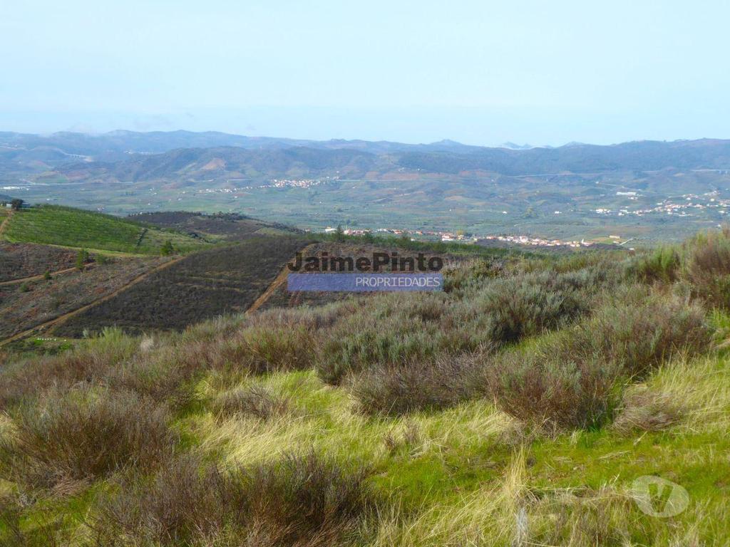 Terrenos Alfândega da Fé - Fotos para Propriedade montanhosa 11ha para plantações agrícolas. Bragança,