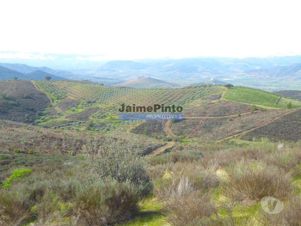Terrenos Alfândega da Fé - Fotos para Propriedade montanhosa 11ha para plantações agrícolas. Bragança,