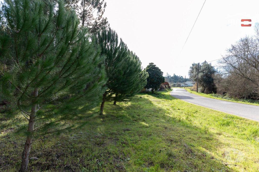 Terrenos Ourém - Fotos para Terreno com pinhal com área 7.700 m2 com possível viabilidade de