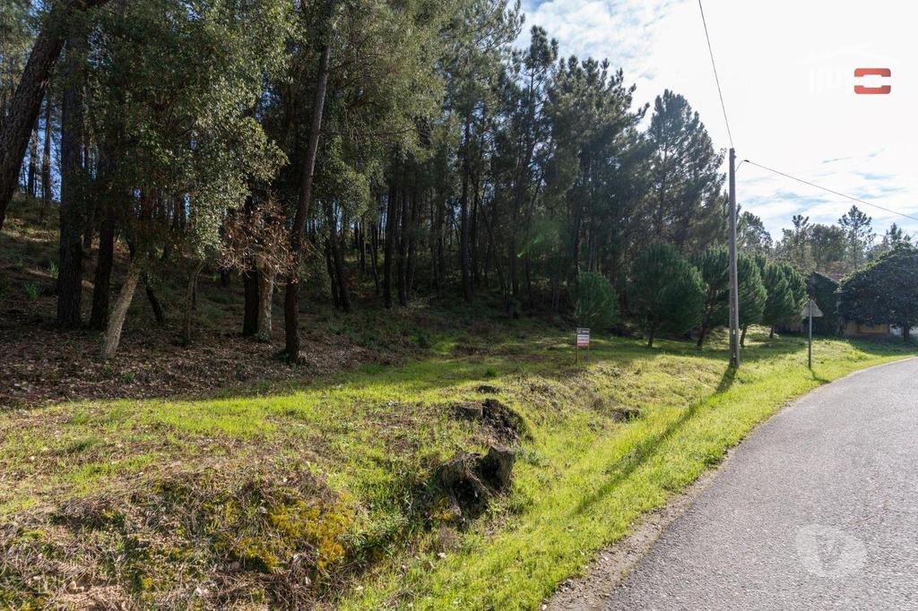 Terrenos Ourém - Fotos para Terreno com pinhal com área 7.700 m2 com possível viabilidade de