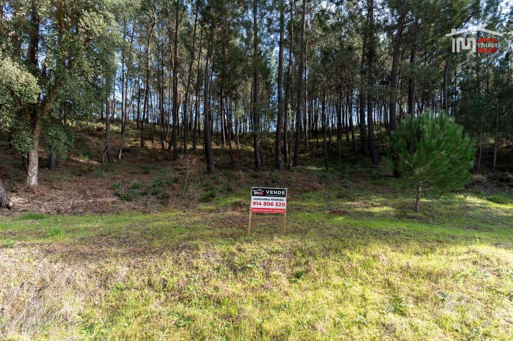 Terrenos Ourém - Fotos para Terreno com pinhal com área 7.700 m2 com possível viabilidade de